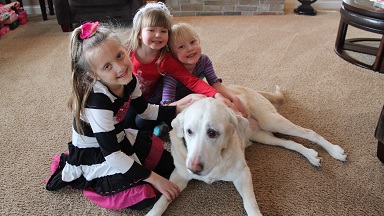 Professional House Cleaning Services Wabash Huntington Indiana Counties